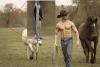 shirtless-cowboy-and-two-horses-in-a-field.jpg