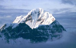 Himalajska tura - Fotografije