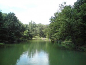 Jezero&#x20;Tresnja