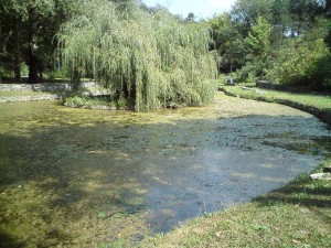 topcidersko&#x20;jezero