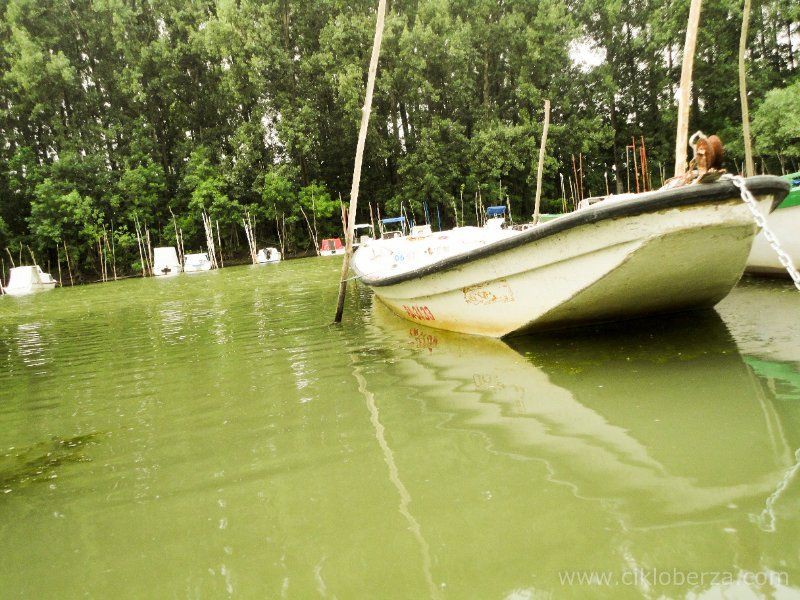 Pancevacki_Triatlon_076b