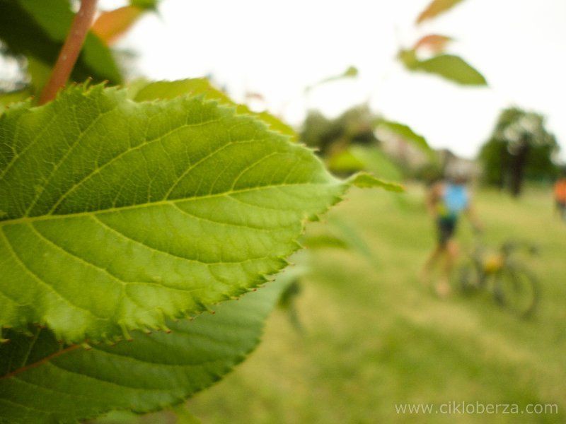 Pancevacki_Triatlon_206b