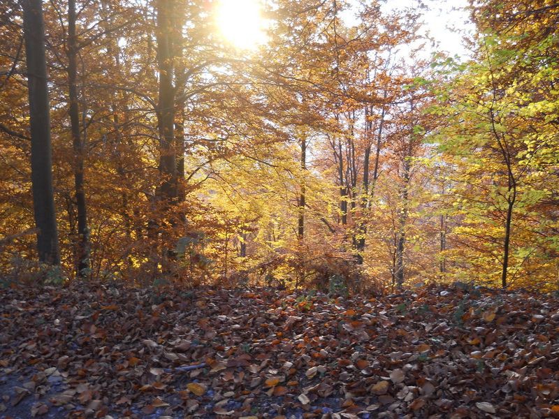 Boje&#x20;se&#x20;razlivaju&#x20;na&#x20;suncu