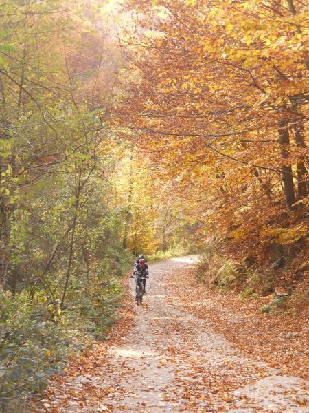 Panta&#x20;vozi&#x20;tempo&#x20;za&#x20;Mi&#x0161;u,&#x20;a&#x20;li&#x0161;&#x0107;e&#x20;&#x0161;u&#x0161;ti,&#x20;li&#x20;&#x0161;u&#x0161;ti