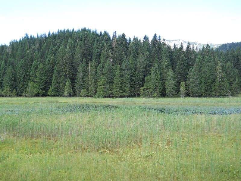 Barno&#x20;jezero&#x20;opet