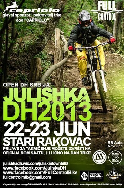 julishka2013-plakat_spons