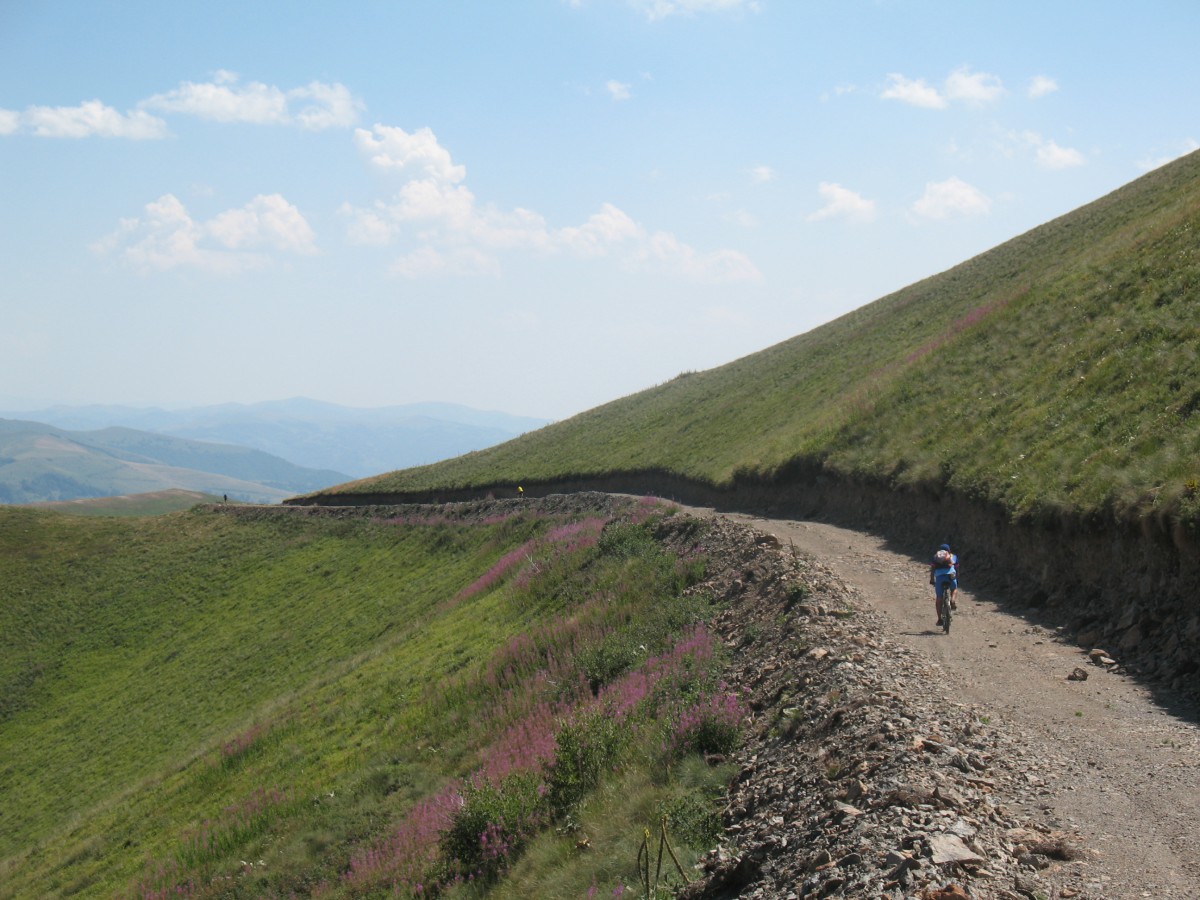 Vranje-Streser&#x20;&#x28;Pera&#x29;&#x20;&#x28;119&#x29;