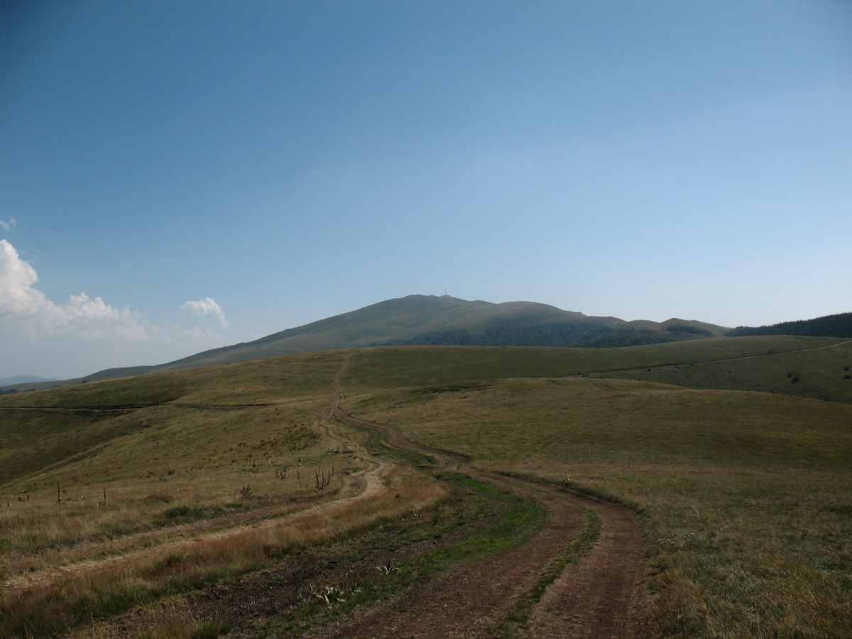 Vranje-Streser&#x20;&#x28;Pera&#x29;&#x20;&#x28;137&#x29;